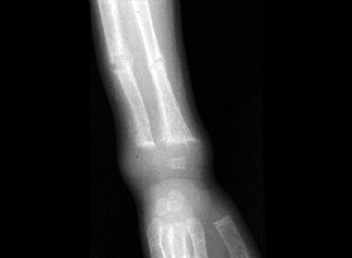image_rsrc1ZSD.jpg