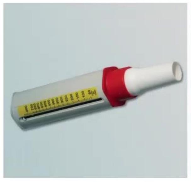 images/MNJ-P-OSCE 06. Audiometry, capnogram, spirometry_page_5_Picture_7.jpeg