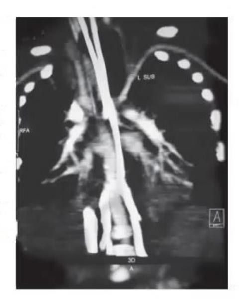 images/MNJ-P-OSCE 09. Intensive care_page_1_Picture_11.jpeg