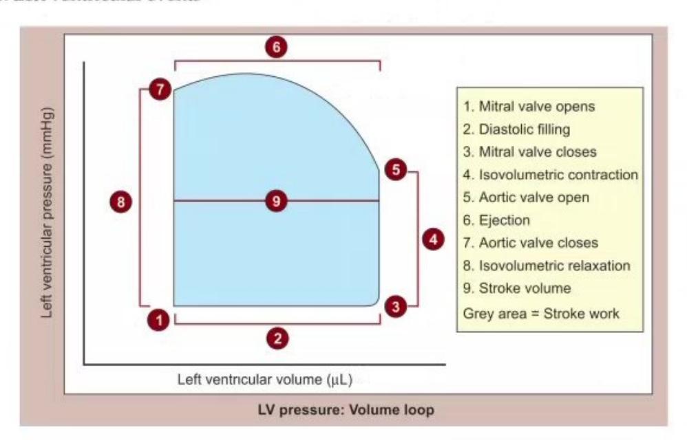 images/MNJ-P-OSCE 09. Intensive care_page_7_Figure_12.jpeg