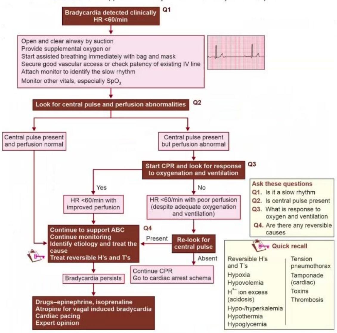 images/MNJ-P-OSCE 10. Advanced Life support_page_10_Figure_3.jpeg
