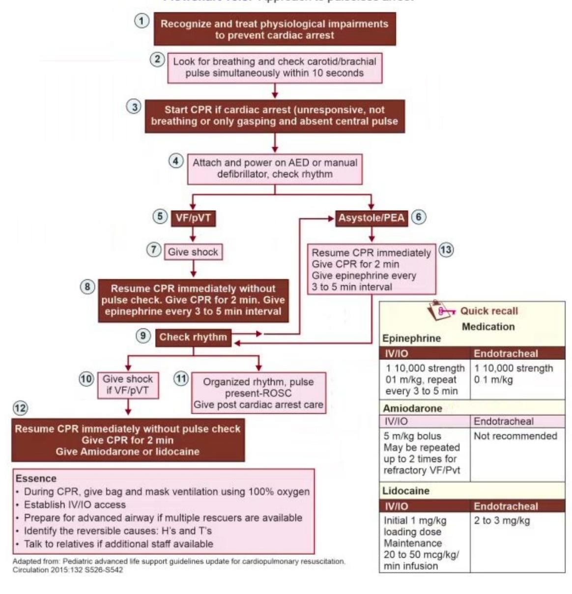 images/MNJ-P-OSCE 10. Advanced Life support_page_11_Figure_3.jpeg