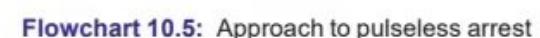 images/MNJ-P-OSCE 10. Advanced Life support_page_11_Picture_2.jpeg