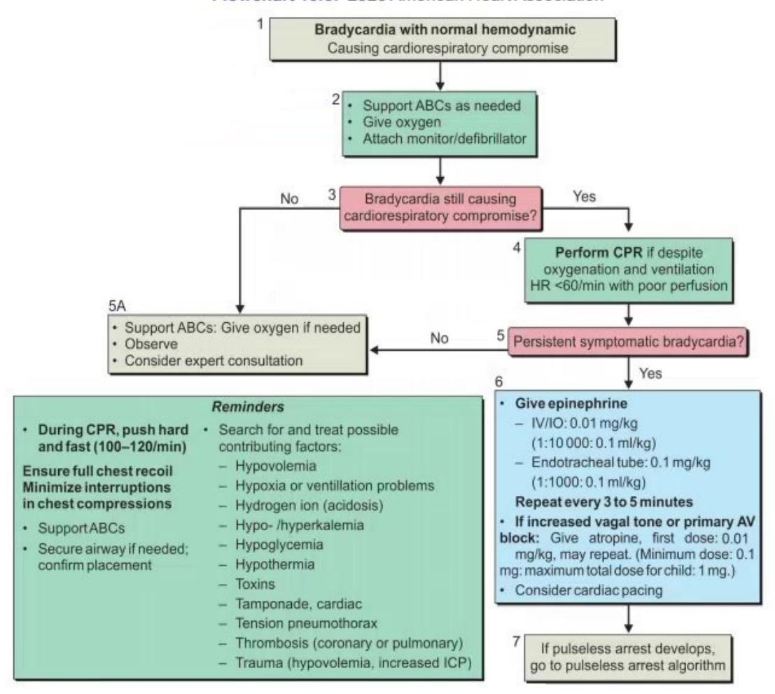 images/MNJ-P-OSCE 10. Advanced Life support_page_12_Figure_3.jpeg