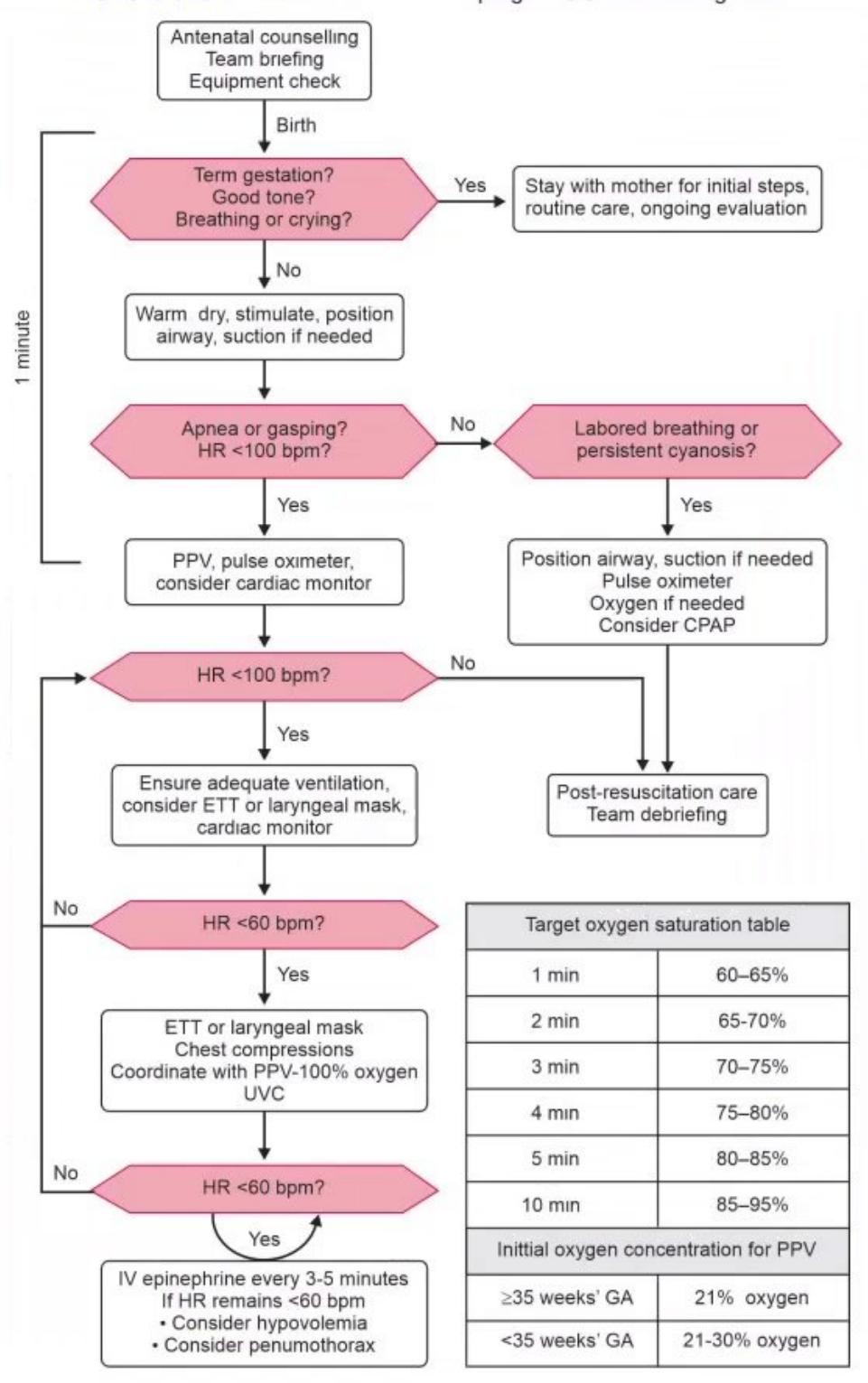 images/MNJ-P-OSCE 10. Advanced Life support_page_3_Figure_3.jpeg