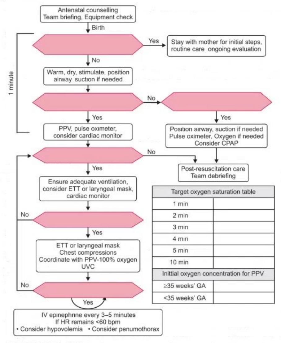 images/MNJ-P-OSCE 10. Advanced Life support_page_7_Figure_4.jpeg