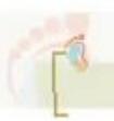 images/MNJ-P-OSCE 12. Fluid and electrolyte_page_7_Picture_2.jpeg