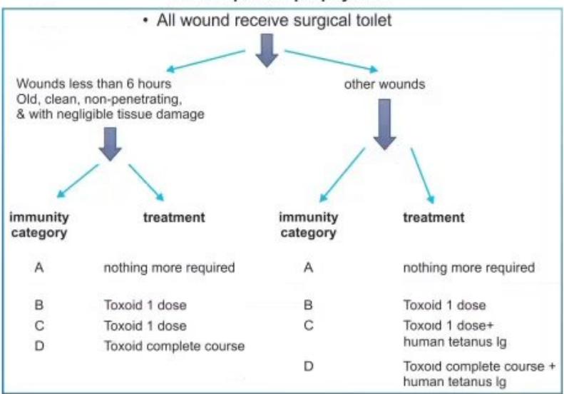 images/MNJ-P-OSCE 13. immunization_page_18_Figure_4.jpeg