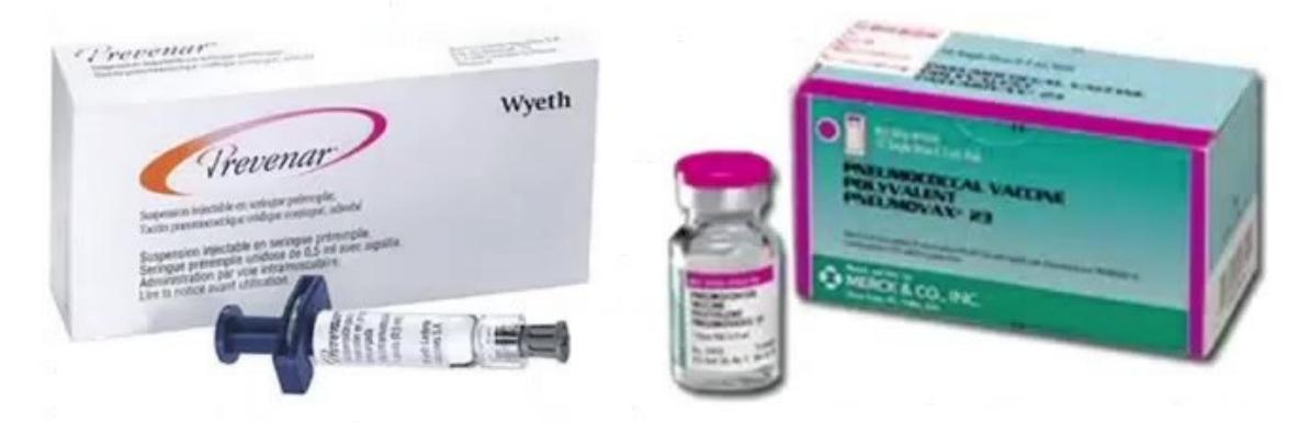 images/MNJ-P-OSCE 13. immunization_page_7_Picture_21.jpeg