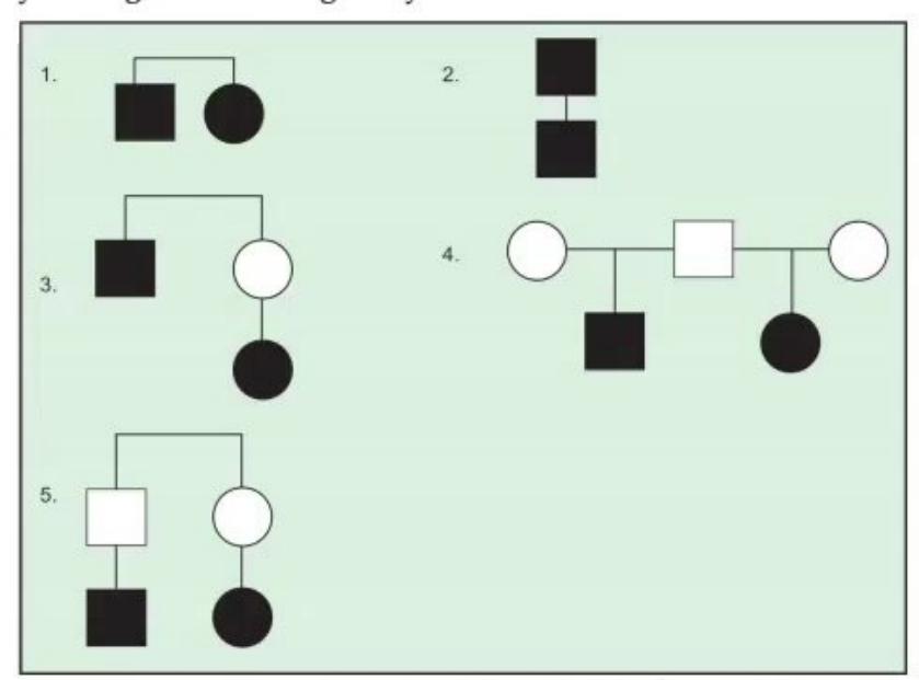 images/MNJ-P-OSCE 16. Genetic disorder_page_12_Picture_10.jpeg