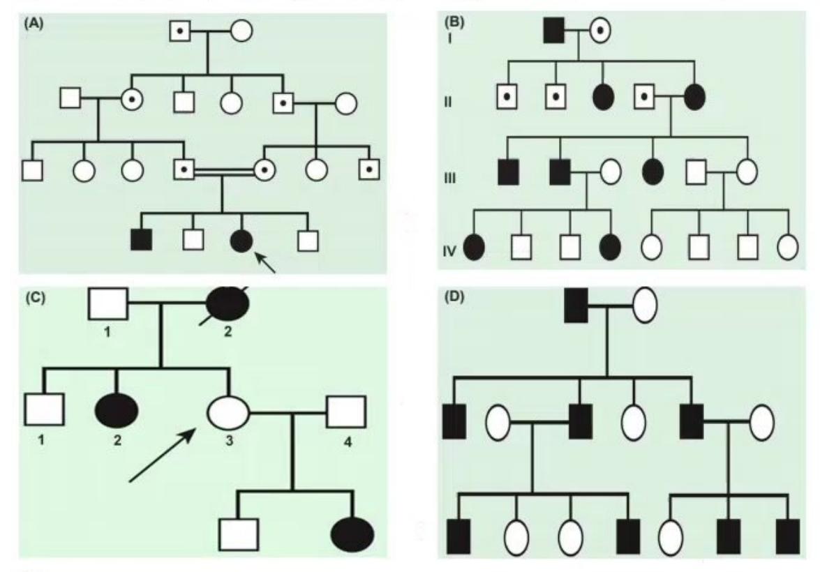 images/MNJ-P-OSCE 16. Genetic disorder_page_5_Figure_4.jpeg
