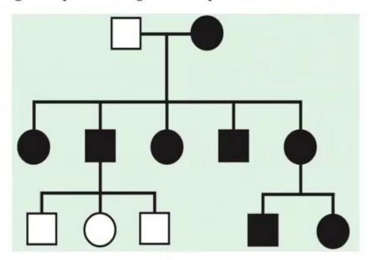 images/MNJ-P-OSCE 16. Genetic disorder_page_6_Picture_5.jpeg