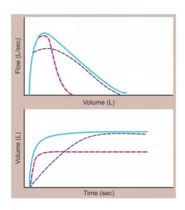 images/MNJ-P-OSCE 25. Pediatric pharmacology_page_4_Figure_13.jpeg