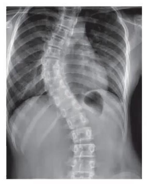 images/MNJ-P-OSCE 26. Musculoskeletal system_page_7_Picture_12.jpeg