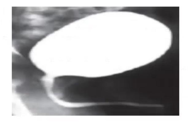 images/MNJ-P-OSCE 31. Nephrology_page_0_Picture_8.jpeg