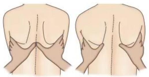 images/MNJ-P-OSCE 36. Focused Clinical Examination_page_9_Picture_29.jpeg