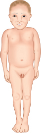 images/image_rsrc1ZAR.jpg