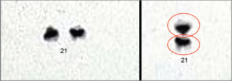 images/image_rsrc1ZBH.jpg