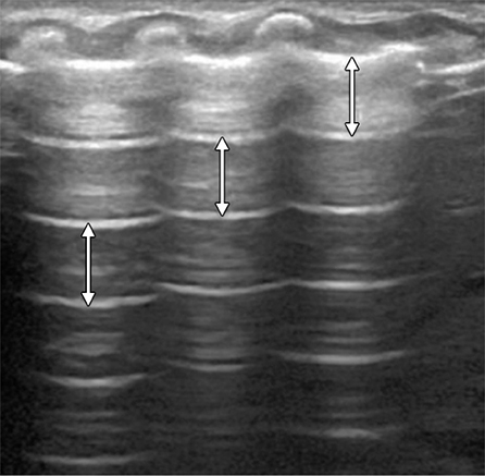 images/image_rsrc1ZEM.jpg