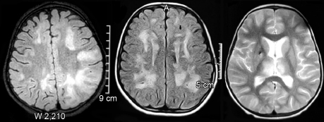 images/image_rsrc1ZM2.jpg