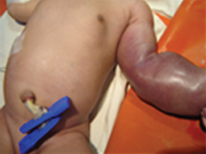 images/image_rsrc1ZPR.jpg