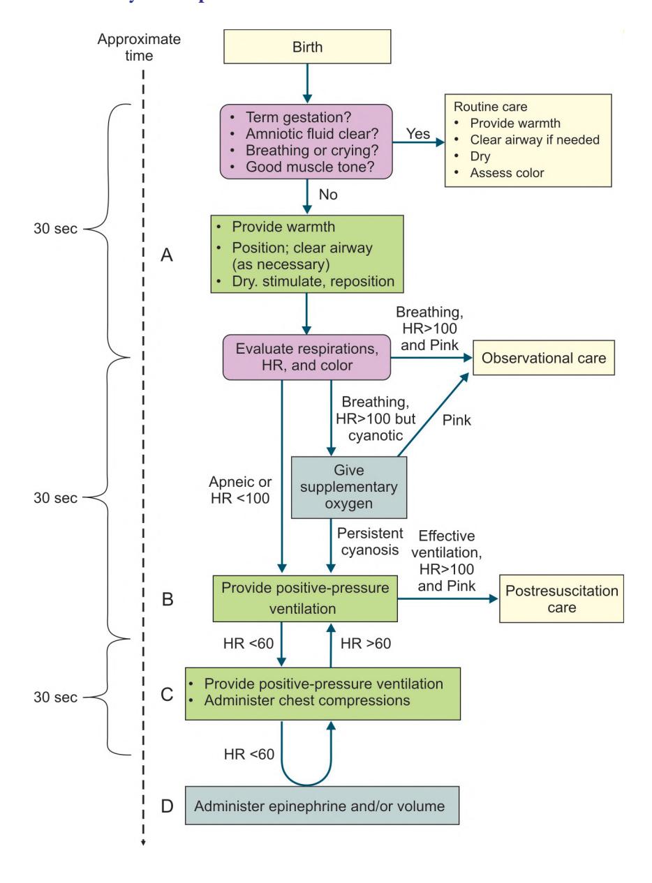 images/VVK-P-Osce 10. Neonatal Advanced Life Support & Pediatric Advanced Life Support_page_2_Figure_8.jpeg