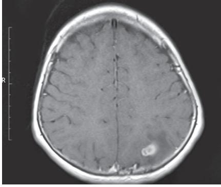 images/VVK-P-Osce 18. Radiology_page_0_Picture_6.jpeg