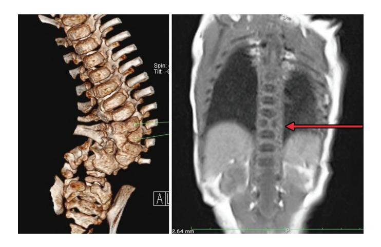 images/VVK-P-Osce 20. Orthopedics_page_0_Picture_9.jpeg
