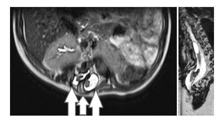 images/VVK-P-Osce 20. Orthopedics_page_1_Picture_9.jpeg