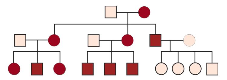 images/VVK-P-Osce 5. Genetics_page_2_Picture_9.jpeg