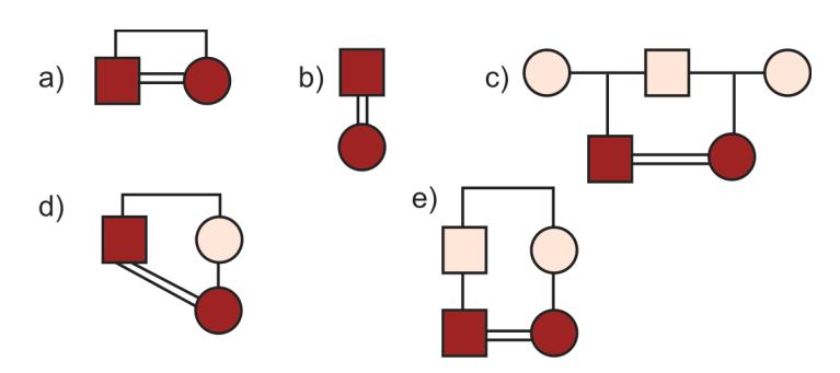images/VVK-P-Osce 5. Genetics_page_3_Picture_13.jpeg