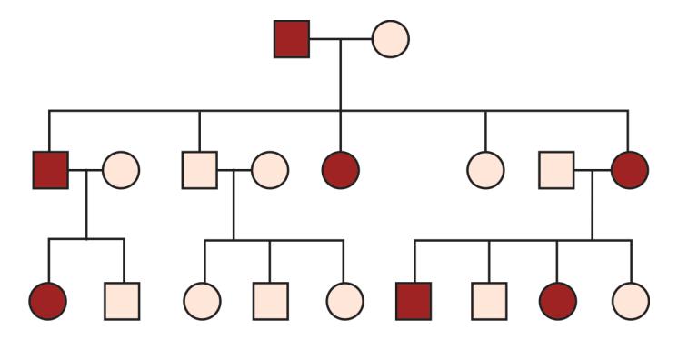 images/VVK-P-Osce 5. Genetics_page_3_Picture_3.jpeg