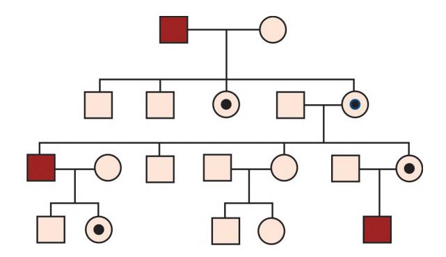 images/VVK-P-Osce 5. Genetics_page_3_Picture_8.jpeg