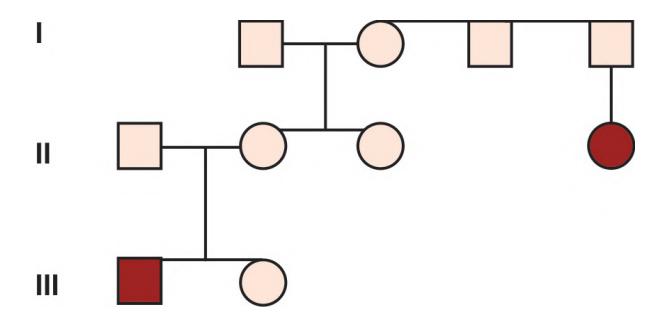 images/VVK-P-Osce 5. Genetics_page_4_Picture_3.jpeg