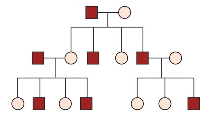 images/VVK-P-Osce 5. Genetics_page_6_Picture_2.jpeg